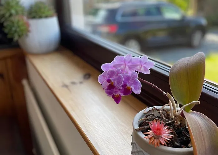 Appartamento Casa Marcu 2 Eg *